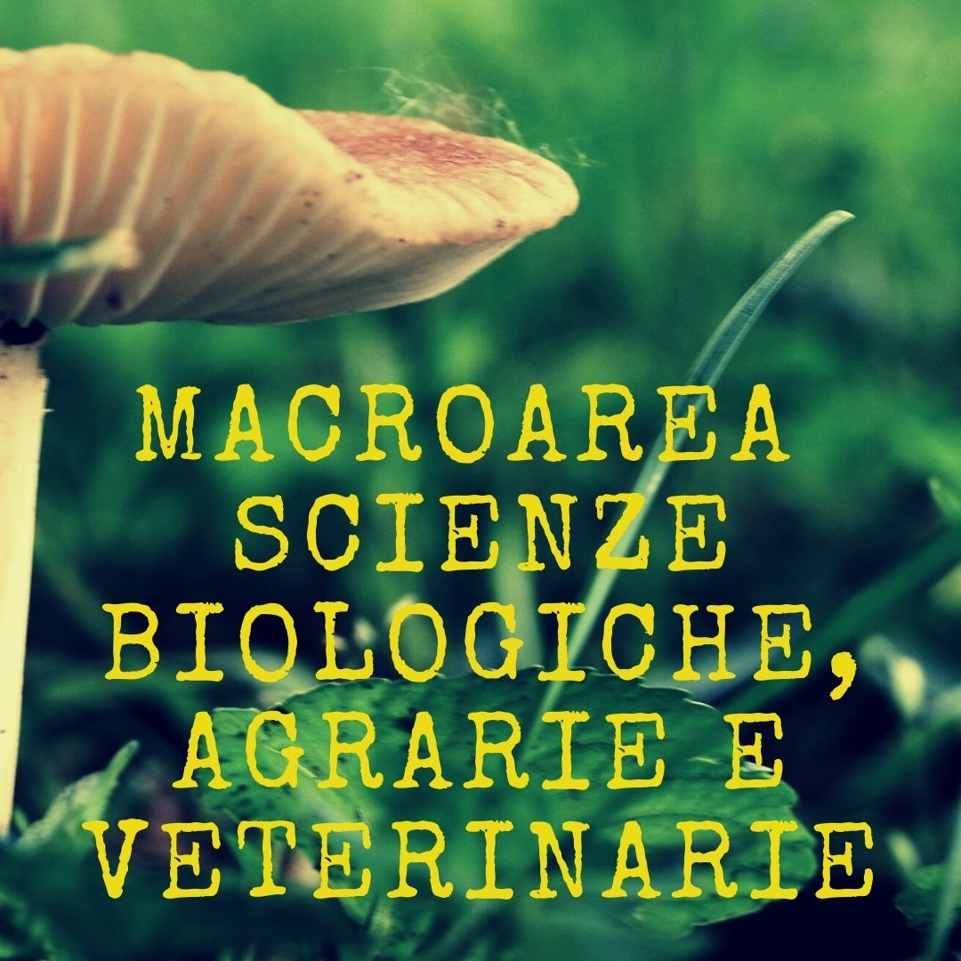 Macroarea Scienze biologiche, agrarie e veterinarie